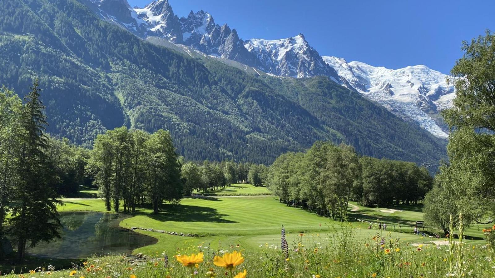 Evasion Serenite A Mont-blanc Appartamento Chamonix